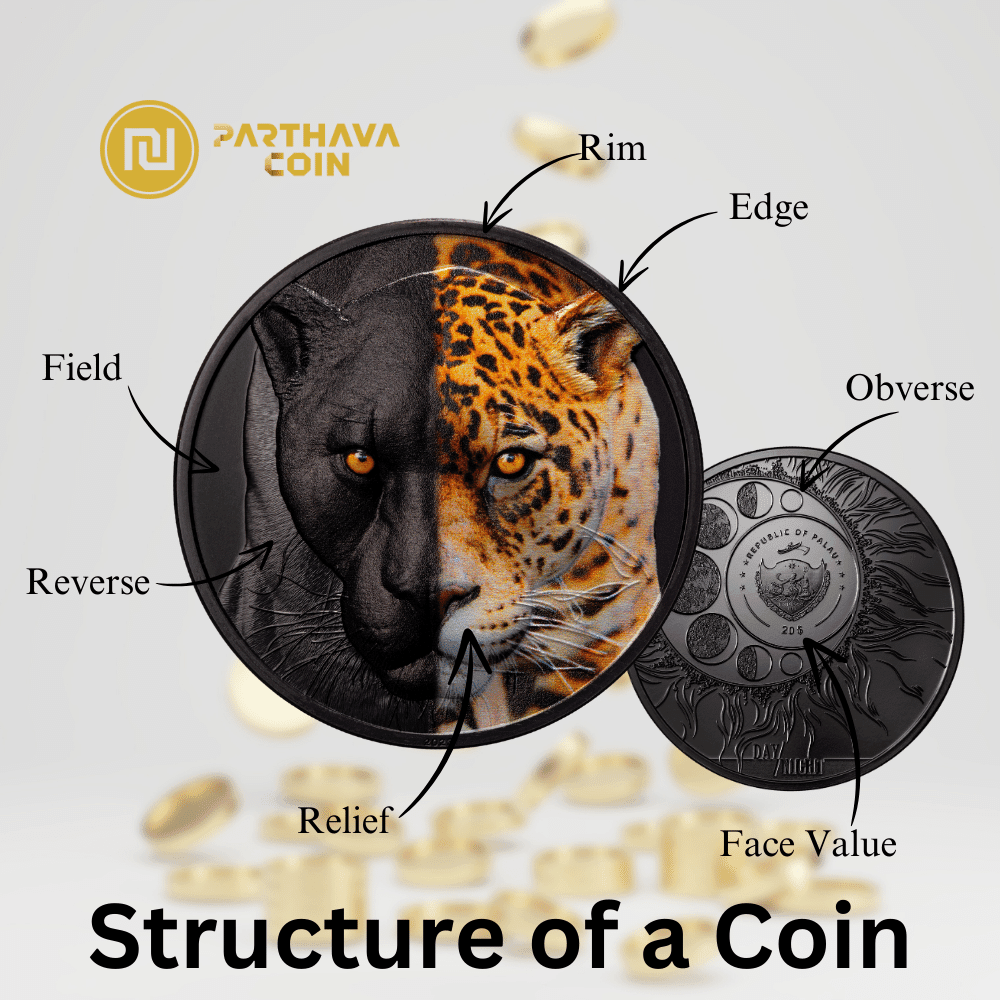Structure of a Coin - PARTHAVA COIN