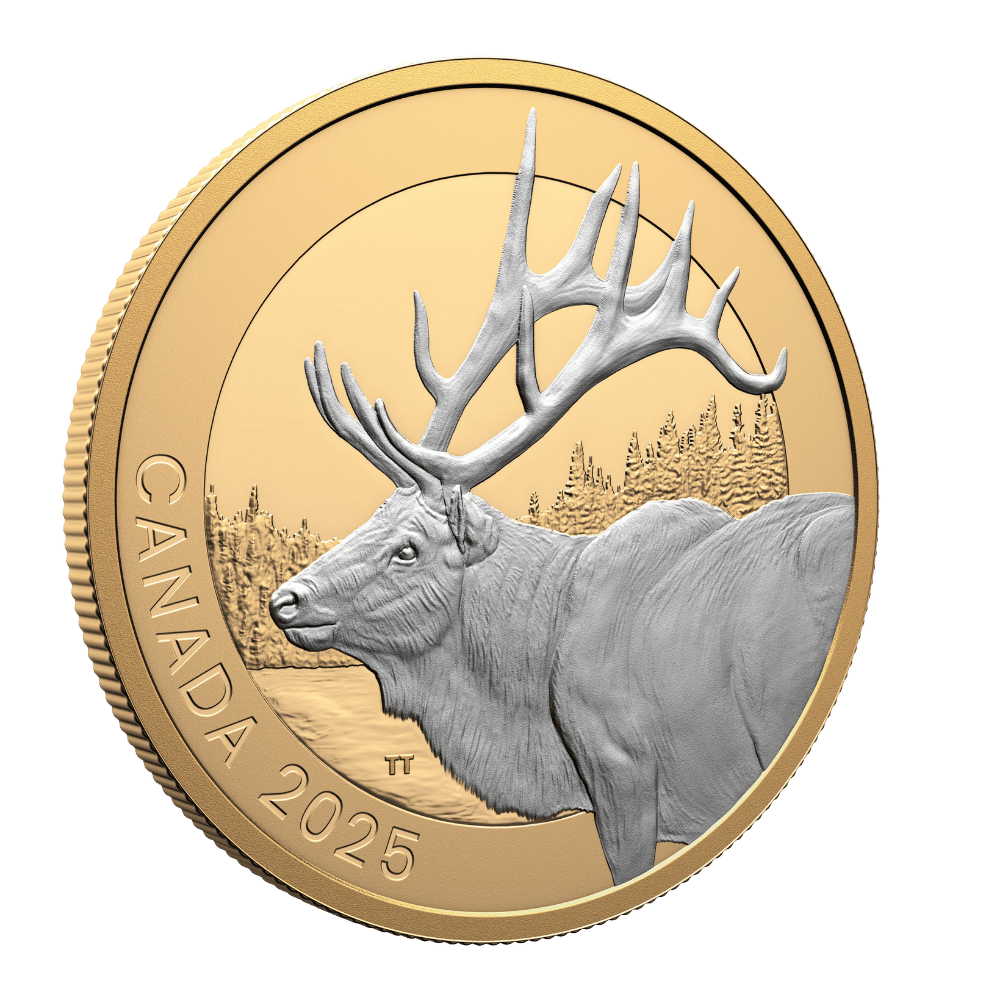 Animal Portraits Elk 1 Oz Fine Silver Coin Canada 2025 - PARTHAVA COIN