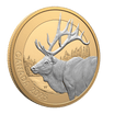 Animal Portraits Elk 1 Oz Fine Silver Coin Canada 2025 reverse oblique - Royal Canadian Mint