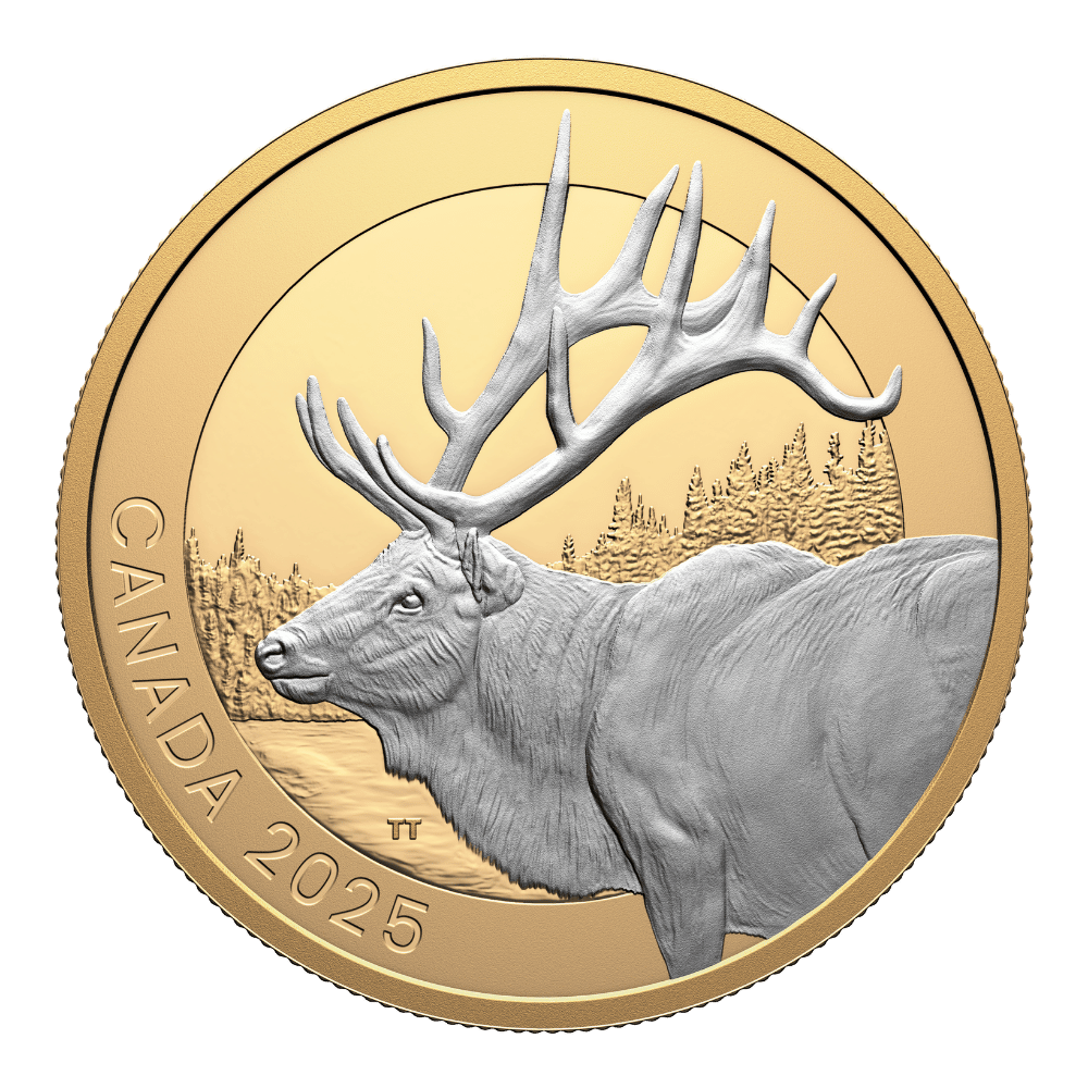 Animal Portraits Elk 1 Oz Fine Silver Coin Canada 2025 - PARTHAVA COIN