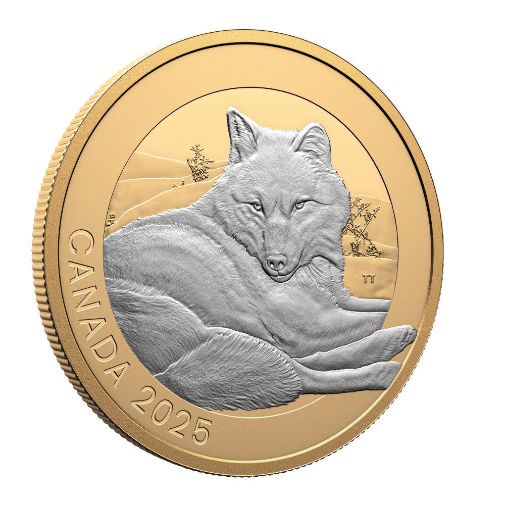 Animal Portraits Grey Wolf Bear 1 Oz Fine Silver Coin Canada 2025 reverse oblique - Royal Canadian Mint