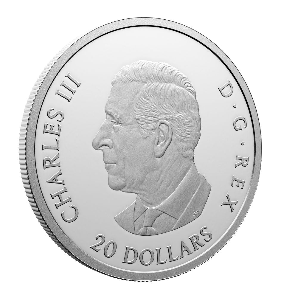 80ᵗʰ Anniversary of the End of the Second World War in Europe 1 Oz Silver Coin $20 Canada 2025