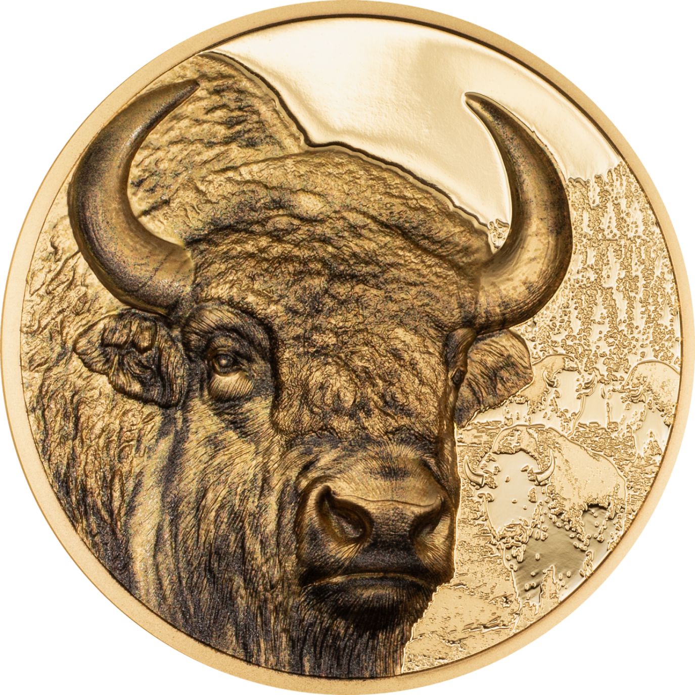 Bison Wild Mongolia 1 Oz Gold Coin 2025 - PARTHAVA COIN