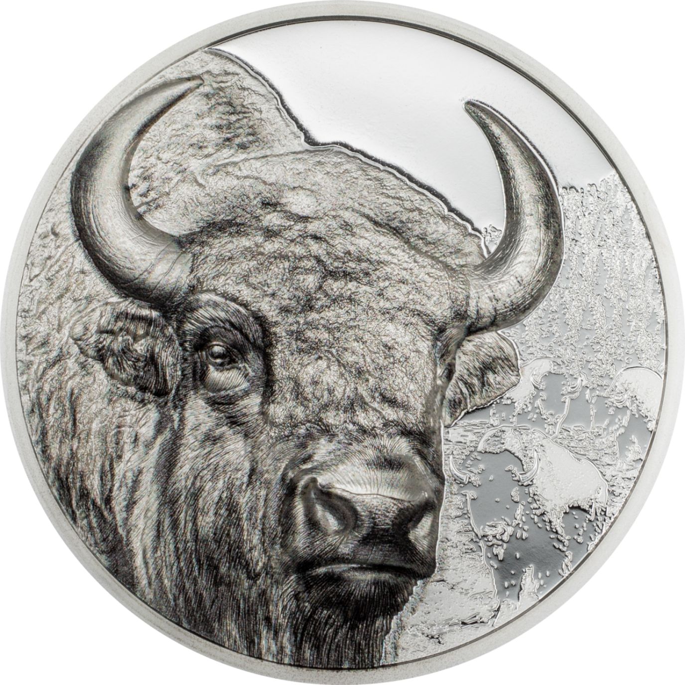 Bison Wild Mongolia 1 Oz Silver Coin 2025 - PARTHAVA COIN