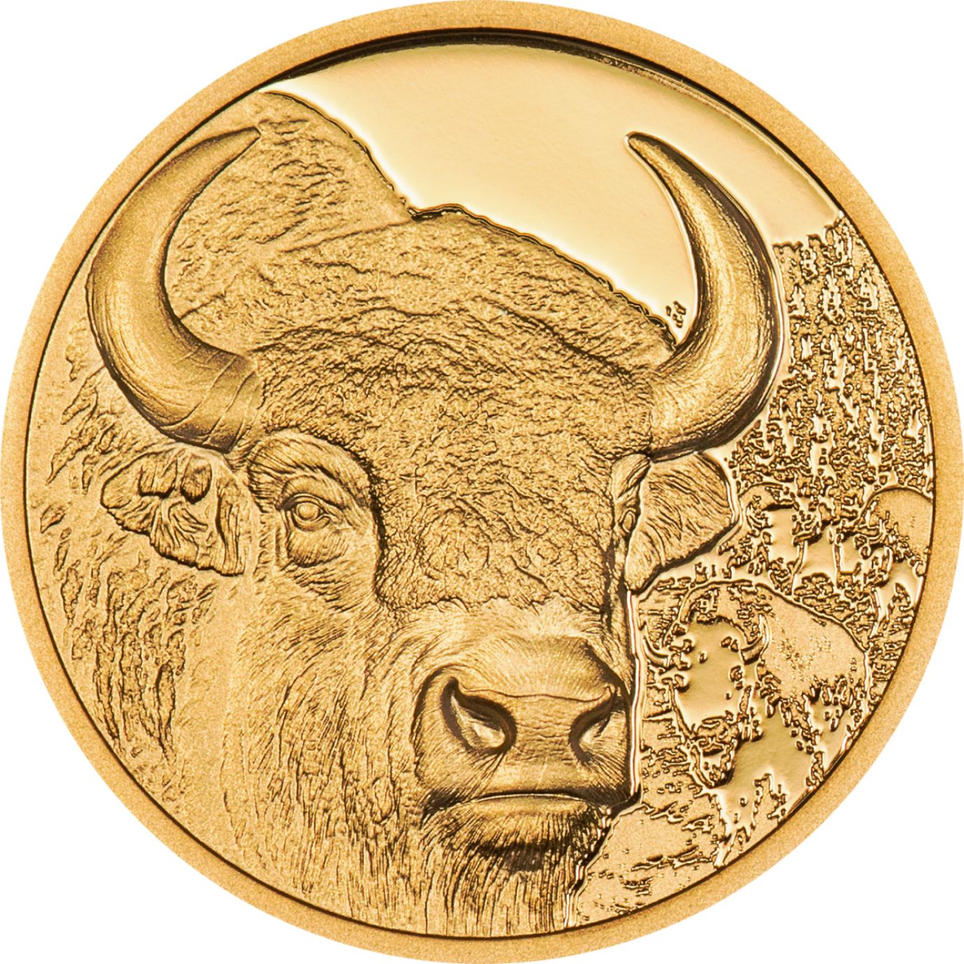 Bison Wild Mongolia 1/10 Oz Gold Coin 2025 - PARTHAVA COIN