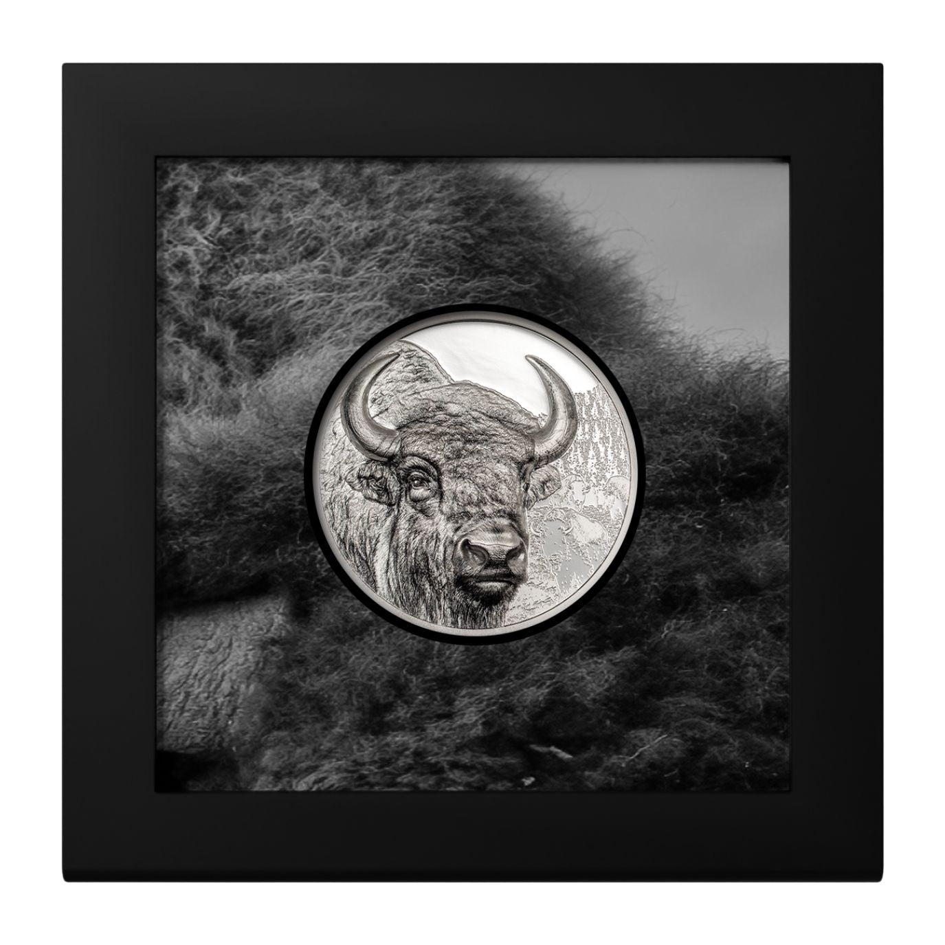 Bison Wild Mongolia 3 Oz Silver Coin 2025 - PARTHAVA COIN