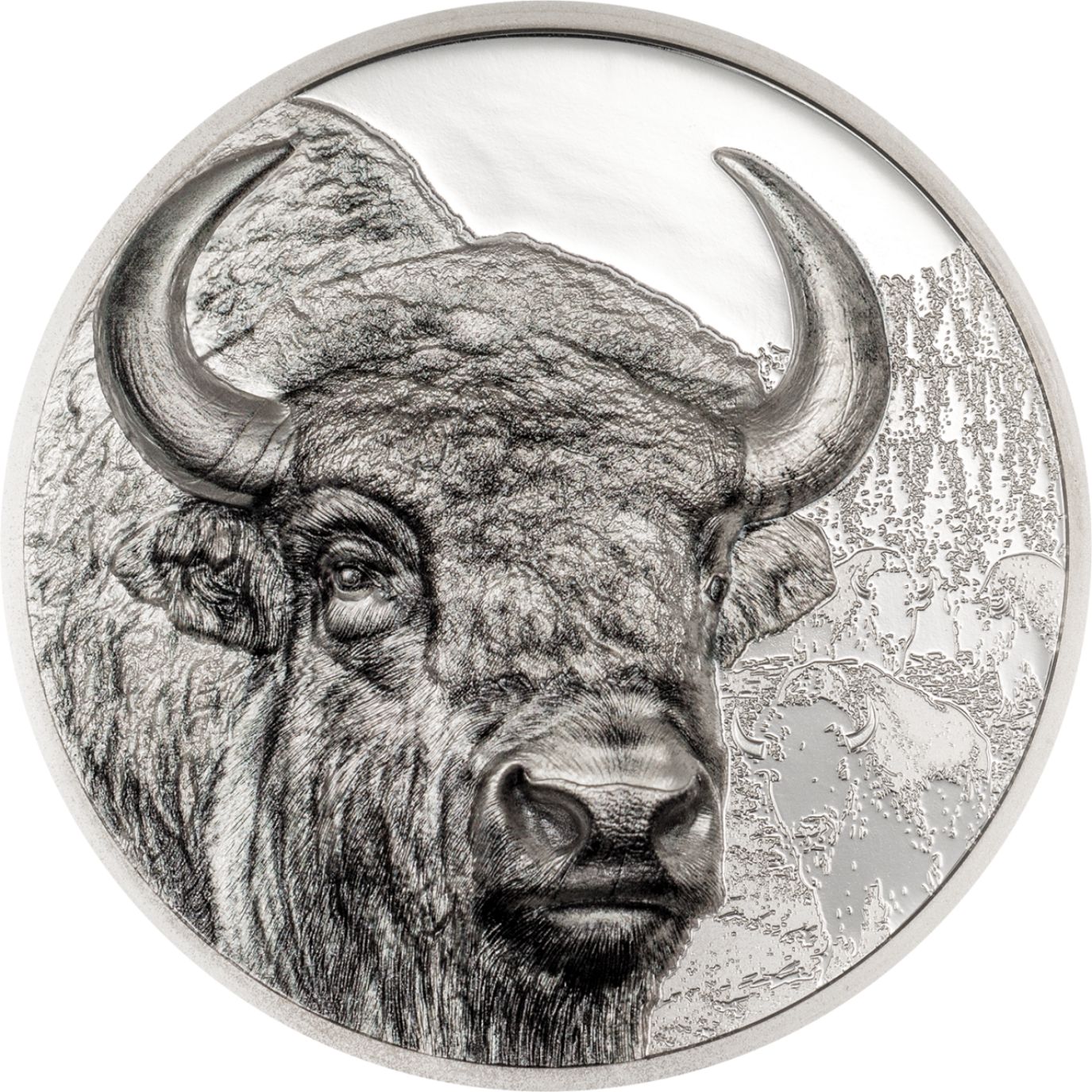 Bison Wild Mongolia 3 Oz Silver Coin 2025 - PARTHAVA COIN