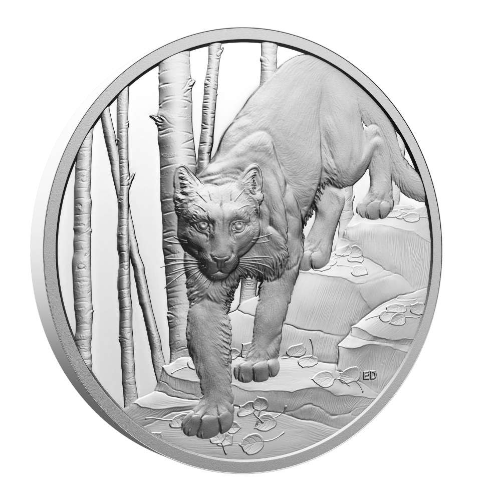 COUGAR Great Hunters 1 oz Silver Coin $20 Canada 2024 - ROYAL CANADIAN MINT