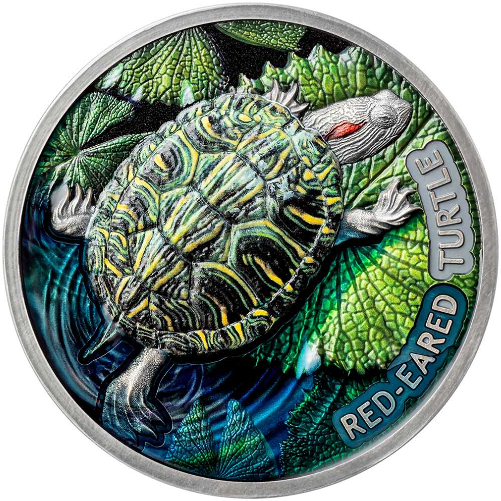 RED EARED TURTLE 2 Oz Silver Coin $2 Niue 2024 - PARTHAVA COIN