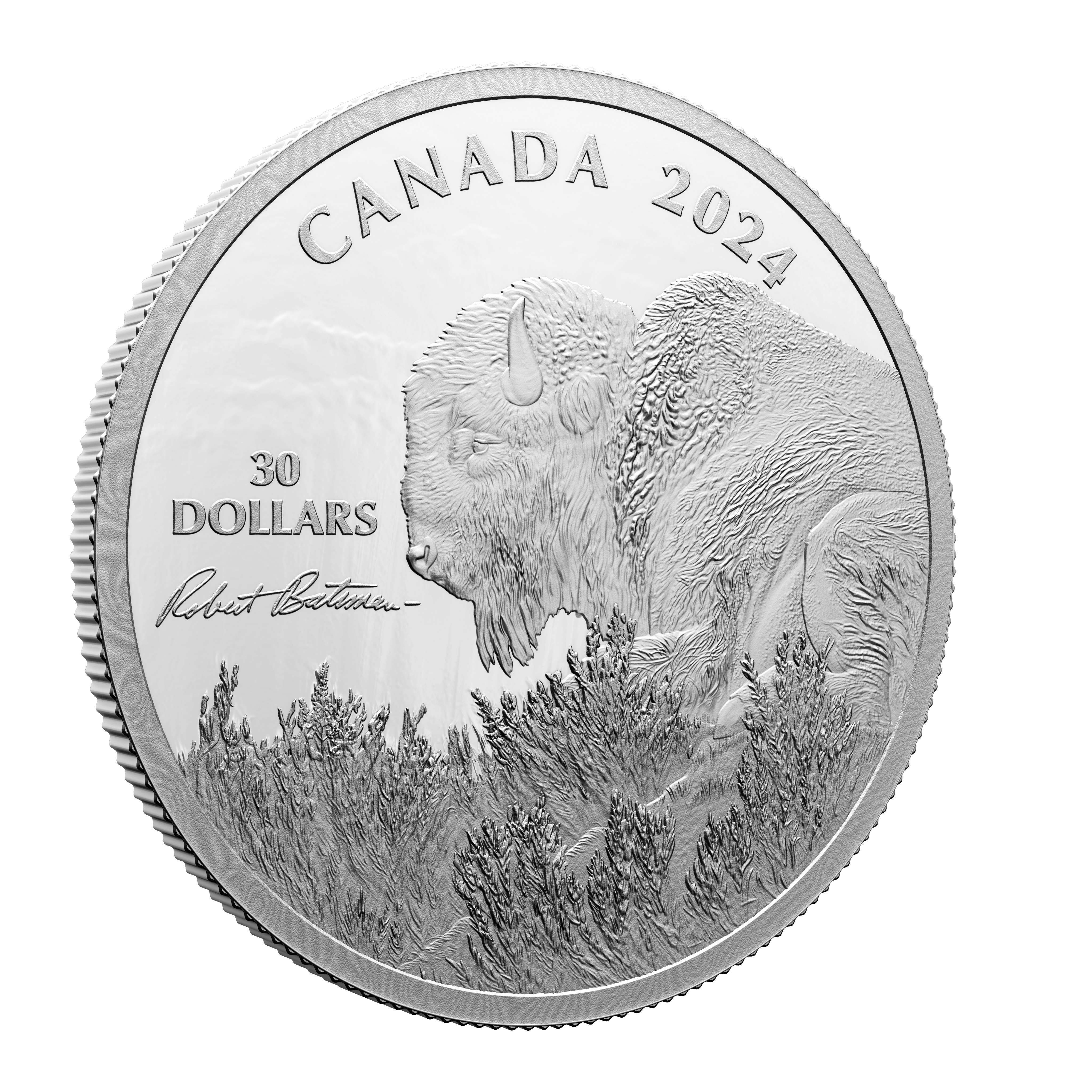 BISON Weather Watch Silver Coin $30 Canada 2024 - PARTHAVA COIN