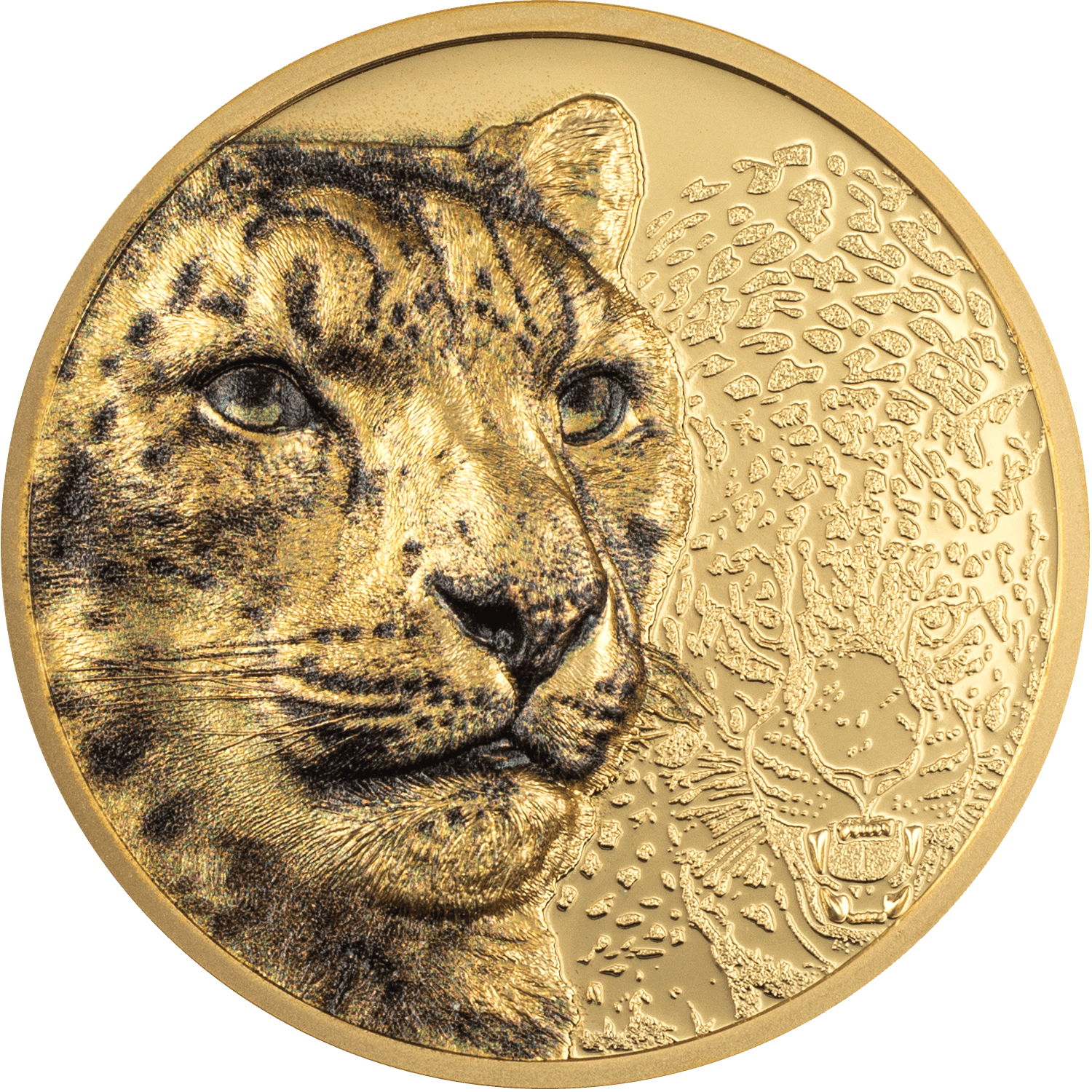 SNOW LEOPARD Wild Mongolia 1 Oz Gold Coin 25000 Togrog Mongolia 2024 - PARTHAVA COIN