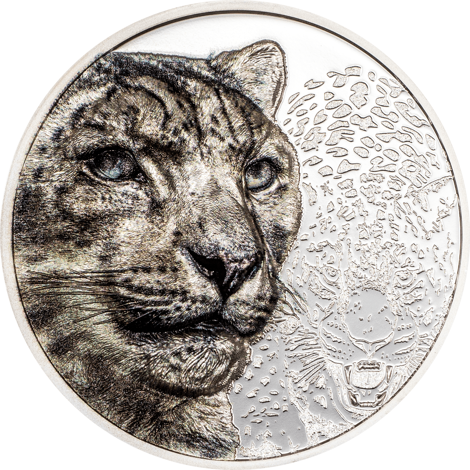 SNOW LEOPARD Wild Mongolia 1 Oz Silver Coin 500 Togrog Mongolia 2024 - PARTHAVA COIN