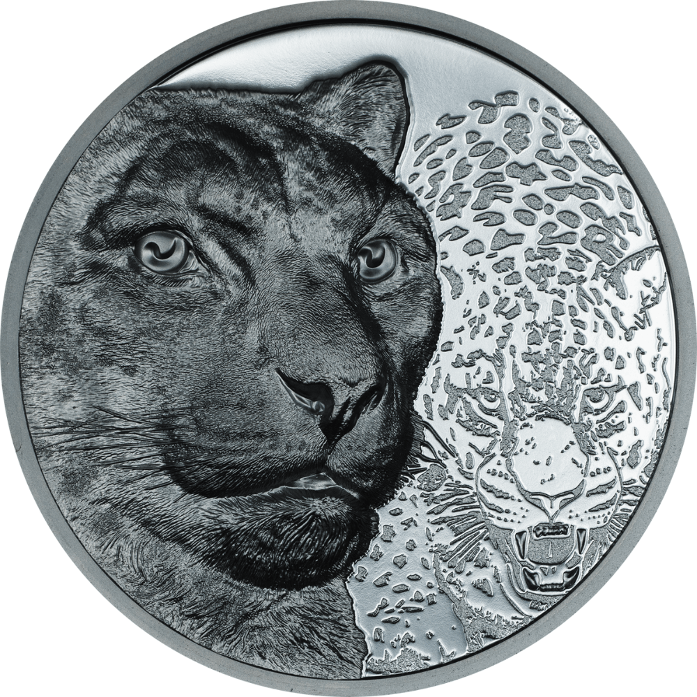 SNOW LEOPARD Wild Mongolia 2 Oz Silver Coin 1000 Togrog Mongolia 2024 - PARTHAVA COIN