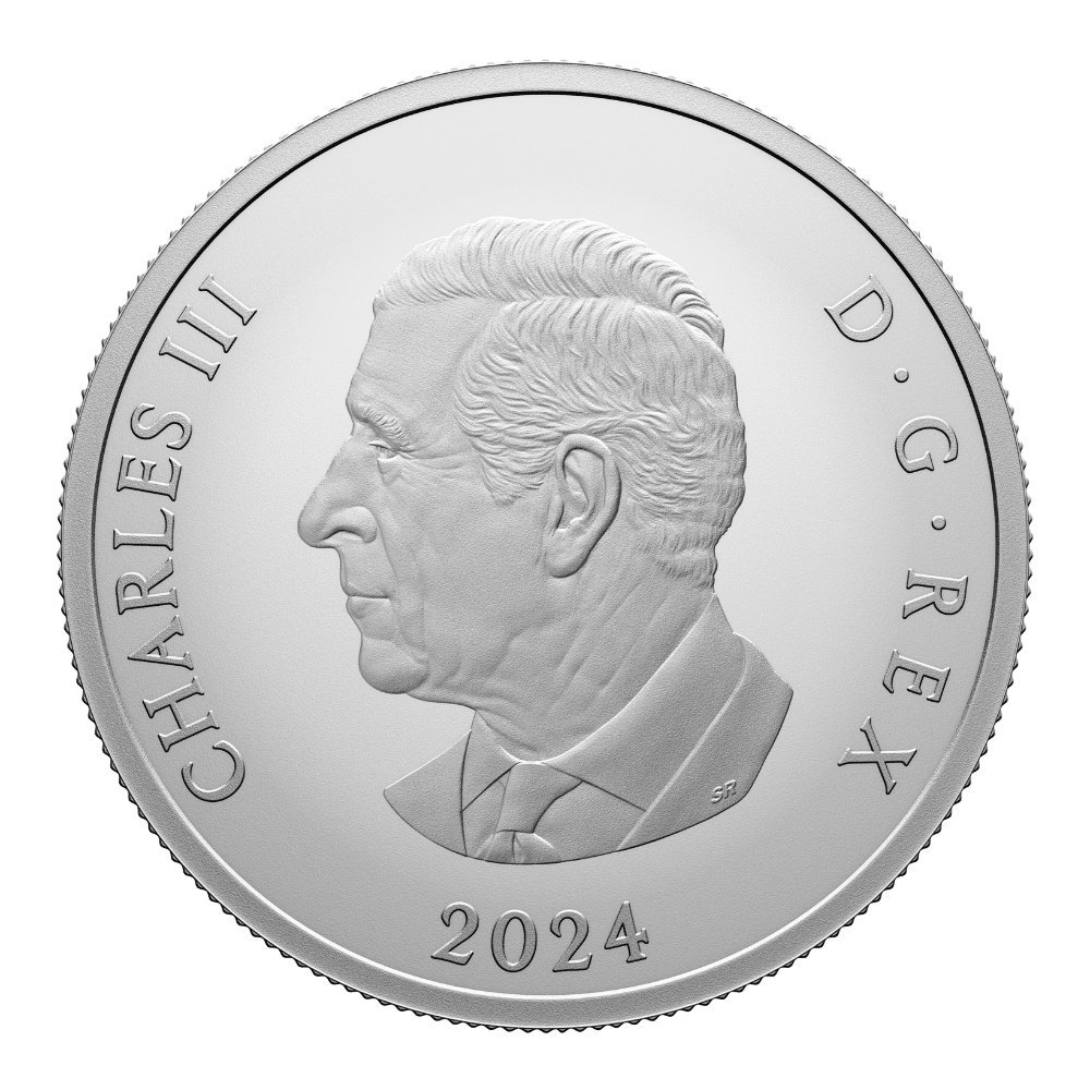 THE SAPPHIRE JUBILEE SNOWFLAKE BROOCH 1 Oz Silver Coin $20 Canada 2024 - PARTHAVA COIN